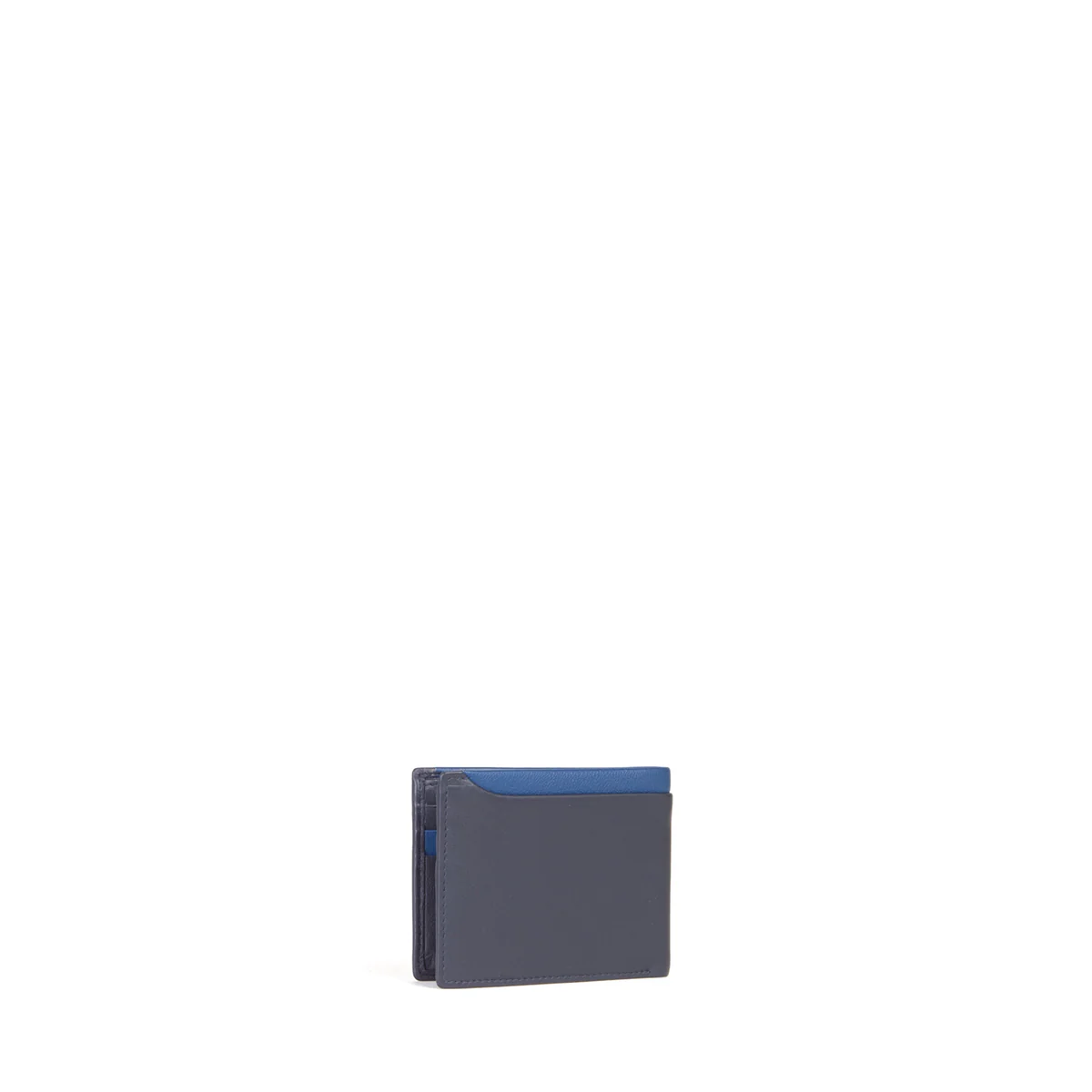 Miniatura 15